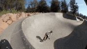 viceland GIF by KING OF THE ROAD