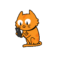 BBKGROUP gato seguros zenit zenitseguros Sticker