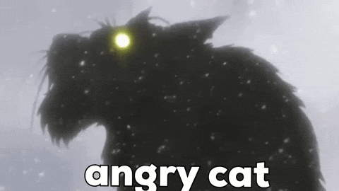 Puck Angry Cat GIF