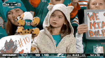 National Football League GIF by NFL