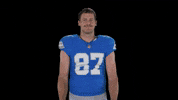 Nfl No GIF by Detroit Lions