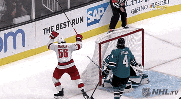 Celebrate Ice Hockey GIF by NHL