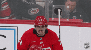 Carolina Hurricanes Smile GIF by NHL