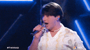 Season 22 Singing GIF by The Voice