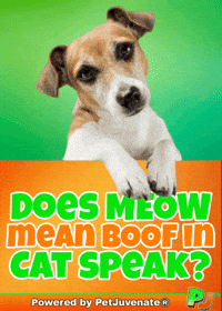 Henlo Hooman Fren GIF by PetJuvenate - PJ