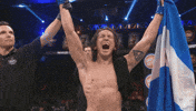 fight yes GIF by Bellator