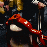 Usc Football GIF by BLVD Studios
