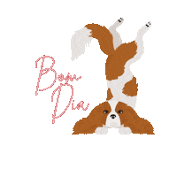 garetti_di dog bom dia cachorro bomdia Sticker