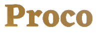 Golocal Sticker by Proco Balls