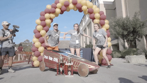 BobcatGifs giphyupload GIF