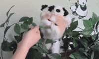cat costume eating GIF