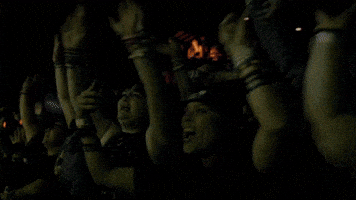 Concert GIF by Better Noise Music