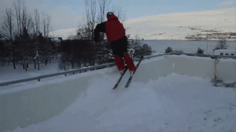 milesbutts-spirito giphygifmaker GIF