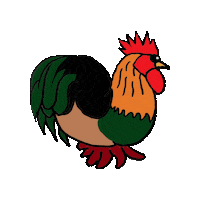 Rooster Chickens Sticker