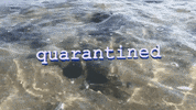 Coronavirus GIF by Justin