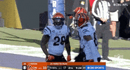 Cincinnati Bengals Football GIF by NFL