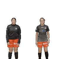 RedAntsWinterthur swipeup 2023 selina lookatthis Sticker