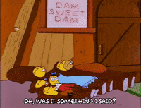 homer simpson episode 24 GIF