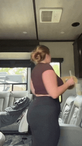 vilecoyote giphyupload GIF