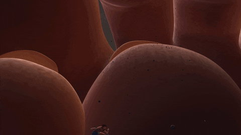 scottcarey giphyupload GIF