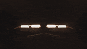 Art Video GIF by jorgemariozuleta