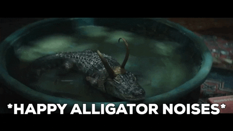 wonderpossum giphygifmaker GIF