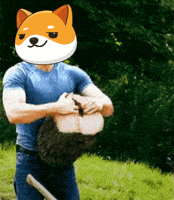 Money Crypto GIF by Baby Doge Coin