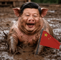 China India GIF