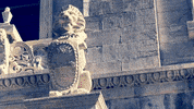 School Learn GIF by Casol