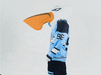 PelicansFi goal hockey mascot ice hockey GIF