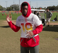 Pittsburgh Steelers Football GIF by NFL