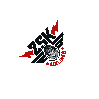 Punk Skatepunk Sticker by ZSK