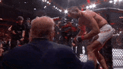Donald Trump Sport GIF by UFC