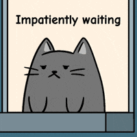 Hurry Up Frustration GIF by MESA My Emotional Support Animal