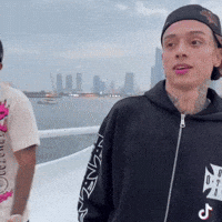 Stan Twt GIF
