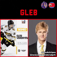 New York Islanders Hockey GIF