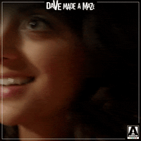dave made a maze lol GIF by Arrow Video