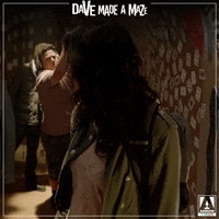 dave made a maze lol GIF by Arrow Video