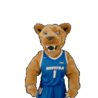 New York Basketball Sticker by Hofstra University