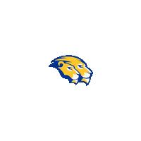 New York Basketball Sticker by Hofstra University