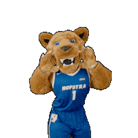 New York Basketball Sticker by Hofstra University