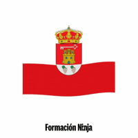 Castilla Y Leon Flag GIF by Formación Ninja