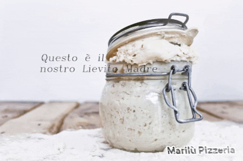 marilu-pizzeria giphygifmaker food pizza italy GIF
