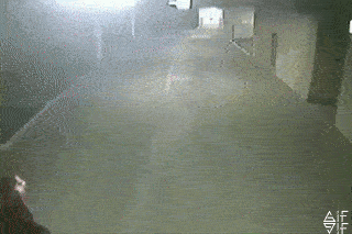 GifsUniverse giphyupload gifvif gifsuniverse GIF
