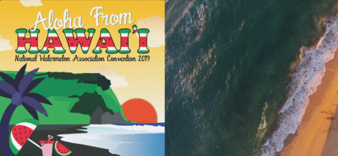 hawaii convention GIF by National Watermelon Assocaiton