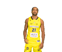 Basketball Basket Sticker by Stade Rochelais