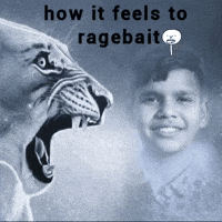 Wvish GIF