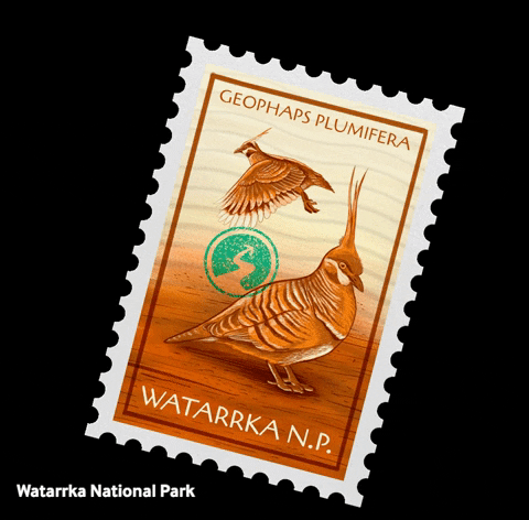 NortherHQ giphygifmaker australia birds stamp GIF
