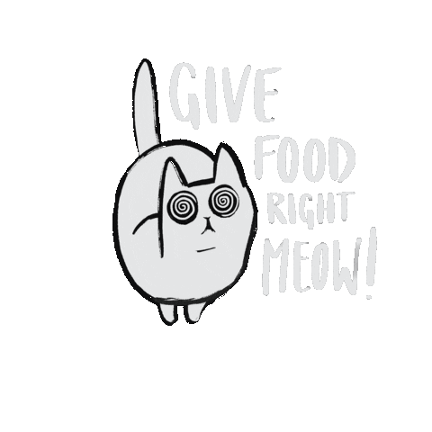 Cat Nom Sticker by Vucka
