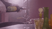 Drunk Wine GIF by Sophia Scott